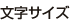 文字サイズ