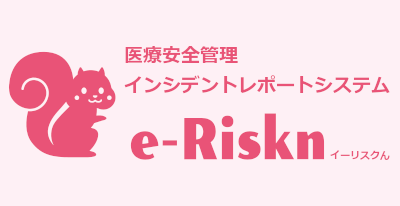 e-Riskn_banner