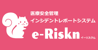 e-Riskn_banner